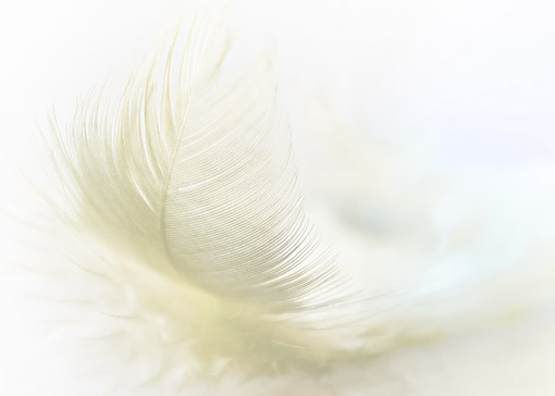 Feather-touch
